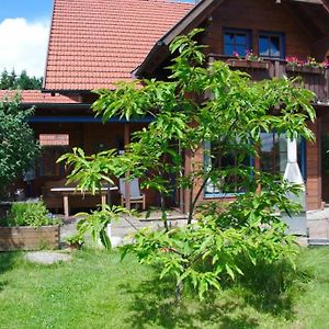 Familienurlaub Im Haus Mit Sauna Feldkirchen an der Donau Exterior photo