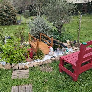 Chambre D'Hote Amitie Et Jardin Carmaux Exterior photo