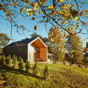 Scandinave Chalet Bran Zarnesti Exterior photo