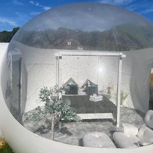 Lunar Sleeping Bubble Ombersley Exterior photo