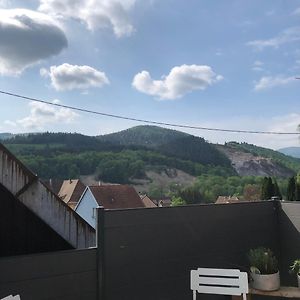 Le Duplex De L Ancienne Forge Muhlbach-sur-Munster Exterior photo