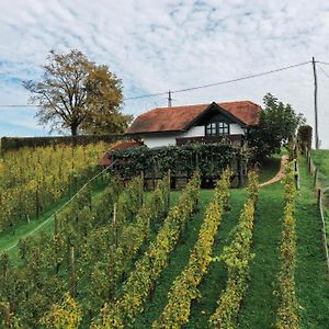 Hiska Brajda Rogaška Slatina Exterior photo