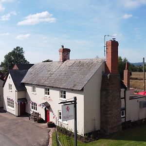 The Red Lion, Madley Hereford Exterior photo