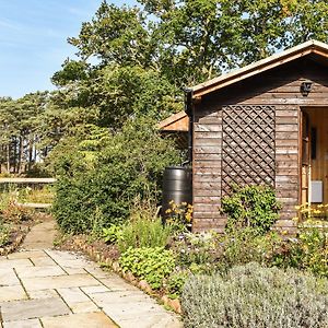 The Cottage At Dockens Water Fritham Exterior photo