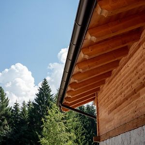 Mons Chalet Pieve Tesino Exterior photo