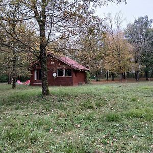 Chalet en forêt, brame du cerf Valpuiseaux Exterior photo