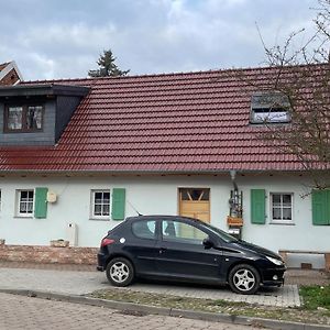 Ferienwohnung Jean Wallhausen Wallhausen (Saxony-Anhalt) Exterior photo