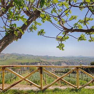 La Terrazza Sul Vigneto Offida Exterior photo