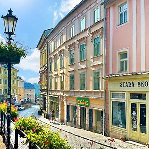 Wise Owl Apartments Banska Stiavnica Exterior photo