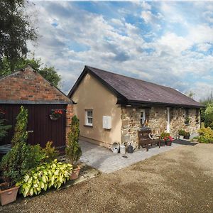 Nyth Y Wennol Llanarth Llanarth (Ceredigion) Exterior photo