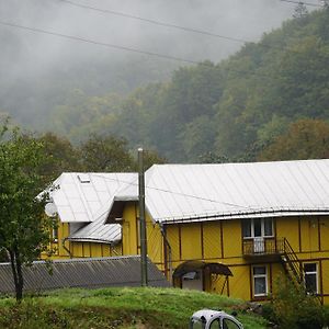 Дім З Видом На Гори. Vizhenka Exterior photo