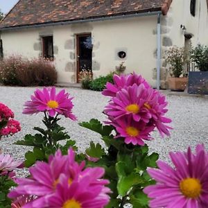 Maison De Charme 18E Siecle Avec Jardin, Parking Et Modernite - Proche De Vichy Et Charroux - Fr-1-489-393 Taxat-Senat Exterior photo