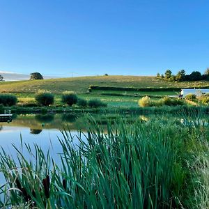 New! 10Etangs, Design House Nestled Among A Dozen Ponds Florennes Exterior photo