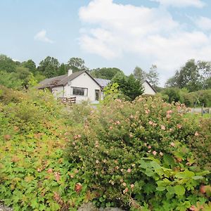 Beech House Torcastle Exterior photo