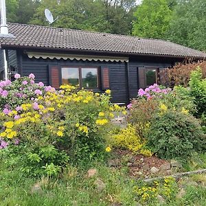 Blockhaus Am Waldrand Erbach (Odenwaldkreis) Exterior photo