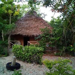 Shadrack Backpackers Nungwi Exterior photo