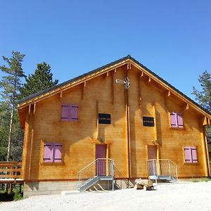 Chalet Le Daguet En Cevennes Saint-Sauveur-Camprieu Exterior photo