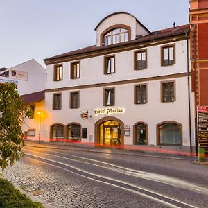 Hotel Florian Sedlcany Selčan Exterior photo