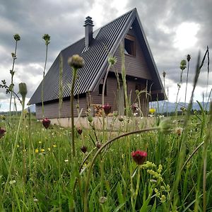 Brown Cabin Žabljak Exterior photo