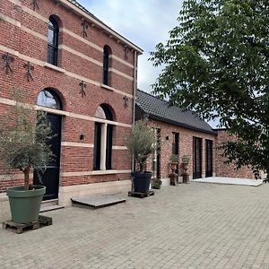 De Wilden Ezel Mol Exterior photo