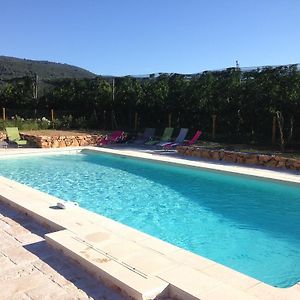 Les Jardins De Bouteille Manosque Room photo