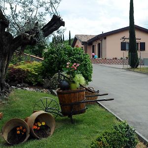 La Corte D'Emilio B&B Vignola (Emilia-Romagna) Exterior photo