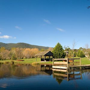 Sanctuary Park Cottages Healesville Exterior photo