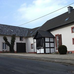 Haus Klara Mannebach (Vulkaneifel) Exterior photo