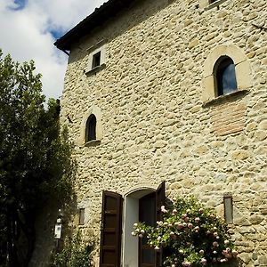 Borgo Fontanini Zocca Room photo