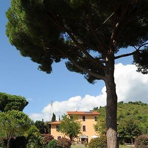 Villa Boldrini B&B Venturina Terme Exterior photo