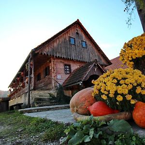 Tourist Farm Pri Martinovih Krška Vas Exterior photo