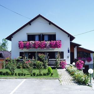 Guest House Boric Grabovac (Karlovac) Exterior photo