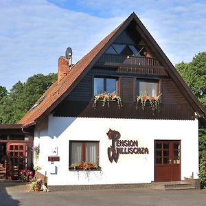 Pension Willischza Burg (Spreewald) Exterior photo