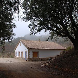 Casa Rural Las Encinas Marchena (Jaen) Exterior photo
