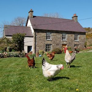 Nantgwynfaen Organic Farm Wales Llandysul Exterior photo