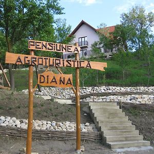 Pensiunea Agroturistica Diana Magura (Buzau) Exterior photo