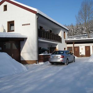 Haus Steinwaldblick Bernlohe (Tirschenreuth) Exterior photo