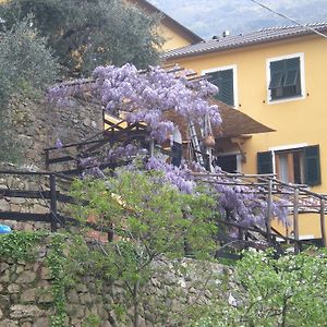 Agriturismo Il Sogno Lorsica Exterior photo