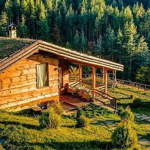 Панорама Хаус Лещен И Еко Къщи Дървена И Землянка Leshten Exterior photo