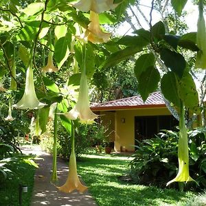 Tacacori Ecolodge Alajuela Exterior photo