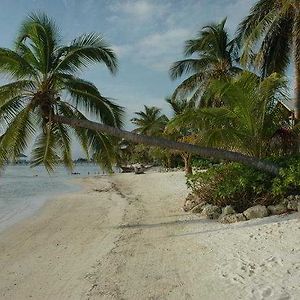 El Pescador San Pedro (Ambergris Caye) Facilities photo