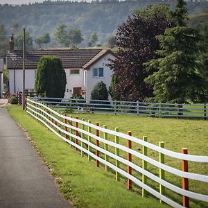 Glan Llyn Farm House Mold Exterior photo