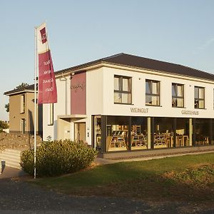 Meyerhof - Weingut, Vinothek & Gaestehaus Flonheim Exterior photo