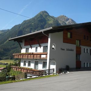 Haus Schoenblick Bach (Tyrol) Exterior photo