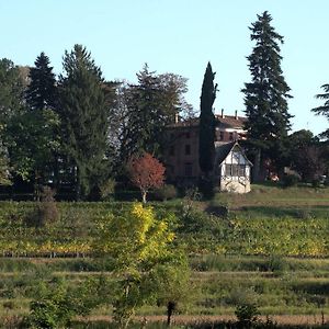 Casali Del Picchio - Winery Cividale del Friuli Exterior photo