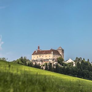 Schloss Krumbach Krumbach (Lower Austria) Exterior photo