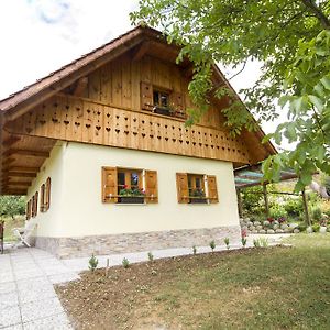 Country House Srcek With Two Bedrooms And Vineyard View Bizeljsko Exterior photo