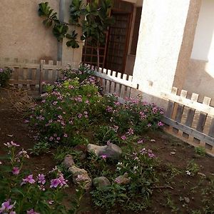 Orchidea House Sant'Antioco Exterior photo