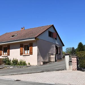 Spacious Holiday Home With Sauna In Celles Sur Plaine Eguisheim Exterior photo