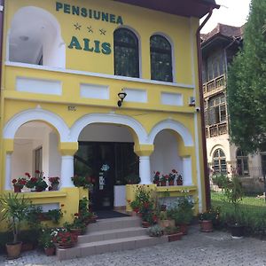 Pensiunea Alis Calimanesti Exterior photo